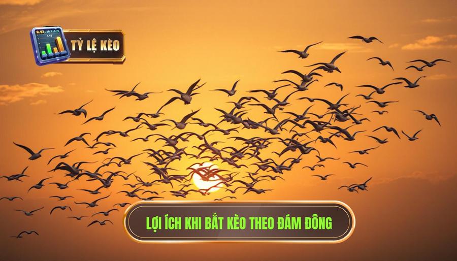 Bắt kèo theo đám đông: Lợi hay hại? – Phân tích mặt lợi (Ưu điểm)